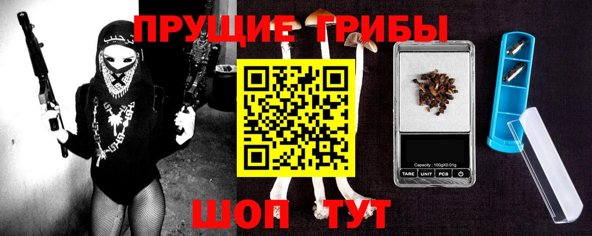 Галлюциногенные грибы мицелий Северск