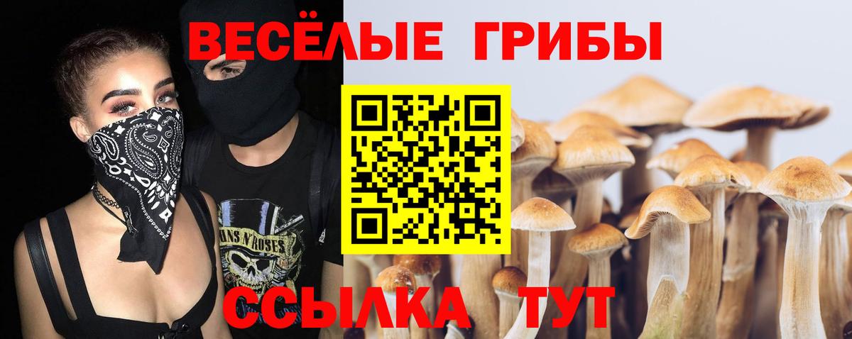 Северск  Псилоцибиновые грибы прущие грибы  Псилоцибиновые грибы MAGIC MUSHROOMS  Вход с VPN 